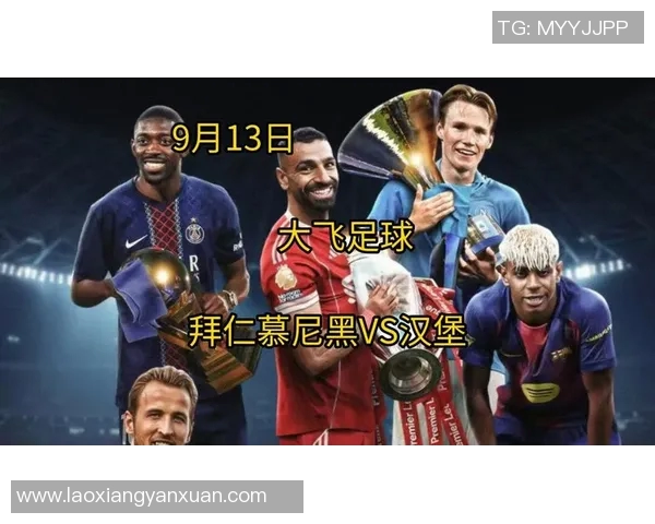 汉堡对阵拜仁慕尼黑八强争夺战精彩回顾与分析